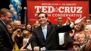 Ted Cruz, Texas Senator, Dewhurst
